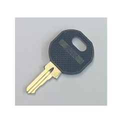 Advanced MXS-011 Spare Panel Door Key For MxPro 4 Panel